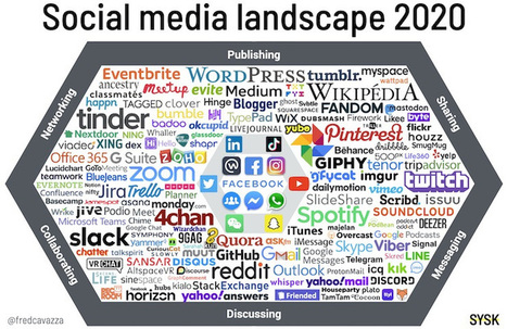 Panorama des médias sociaux 2020 – | Social Marketing | Scoop.it