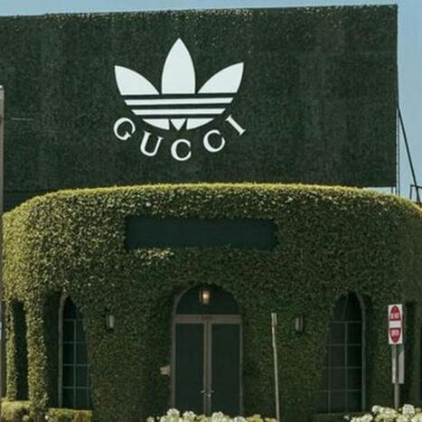 Adidas et Gucci s'exposent dans une longue série de pop-up stores | Pop-up stores | Scoop.it