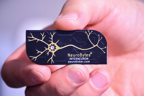 NeuroTinker | NeuroBytes are hands-on electronic neuron simulators | #Maker #MakerED #MakerSpaces | Pédagogie & Technologie | Scoop.it