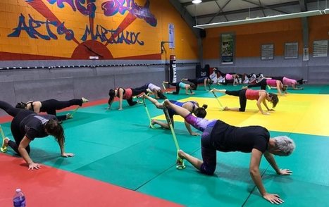 Arreau : Taïso et «cardio-défense juniors» à l'Auroise | Vallées d'Aure & Louron - Pyrénées | Scoop.it