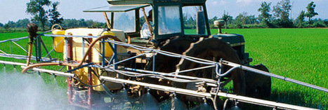 Pesticides et biodiversit&eacute; : on sait quelles esp&egrave;ces meurent | Economie Responsable et Consommation Collaborative | Scoop.it