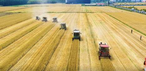 CHINA: Can the world benefit from its quest for food security?&nbsp; | ASIES | Scoop.it
