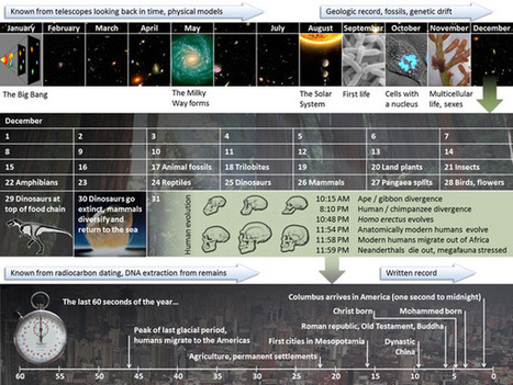 The cosmic calendar and the race to "Inner Space" | Amazing Science | Scoop.it