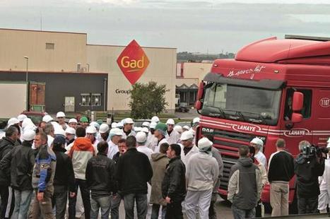 Reportage : “Gad, c’est toute ma vie” | La Gazette des abattoirs | Scoop.it