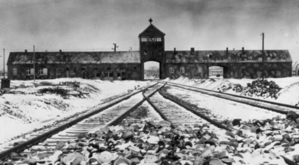 70ème anniversaire de la libération d’Auschwitz : ce que les historiens ont appris ces dernières années sur la Shoah | "Qui si je criais...?" | Scoop.it