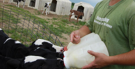 Wisconsin dairy farm sued by EEOC for discrimination, sexual harassment - WPR.org | Operation Oya | Scoop.it