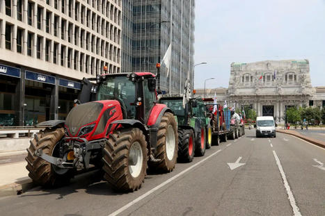 ITALY : farmers are also protesting, from north to south, the same inconveniences and the same demands | MED-Amin network | Scoop.it