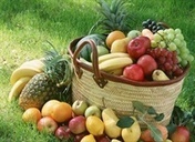 Alle 13 vitamines van A t/m K | Voeding en gezondheid | Scoop.it