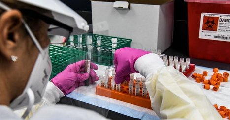 How to Tell a Political Stunt From a Real Vaccine — ProPublica.org | Backstabber Watch | Scoop.it