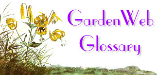 Glossary of horticulture terms pdf