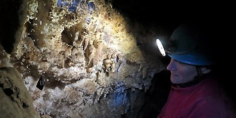 Loz&egrave;re  : &agrave; la recherche des chauves-souris | Biodiversit&eacute; | Scoop.it