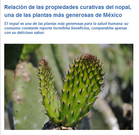 La tuna, el nopal... y sus generosos beneficios para la salud | PIENSA en VERDE | Scoop.it