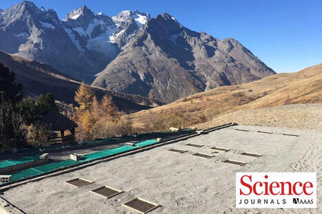 Est-ce que les plantes peuvent &eacute;voluer assez rapidement pour s'adapter &agrave; une plan&egrave;te qui se r&eacute;chauffe si vite ? Universit&eacute; Grenoble Alpes | Biodiversit&eacute; | Scoop.it