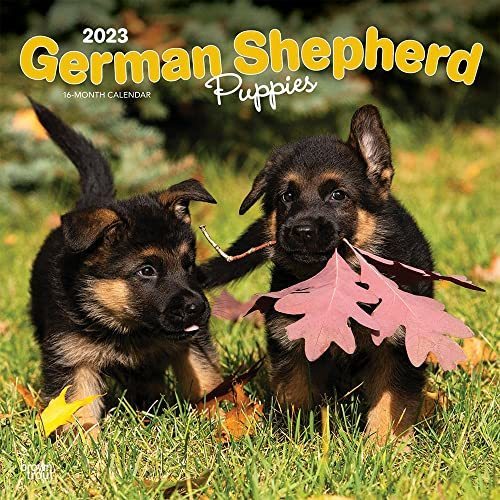 PDF]' in [PDF] DOWNLOAD German Shepherd Puppies | 2023 12 x 24 Inch Monthly  Square Wall Calendar | BrownTrout | Animals Dog Breeds Puppy DogDays by  BrownTrout Publishers Inc.,BrownTrout Publishers Editing Team,BrownTrout  Publishers Design Team