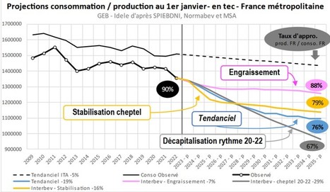 Etude des mécanismes entre dynamiques de cheptels et de production bovine | Lait de Normandie... et d'ailleurs | Scoop.it