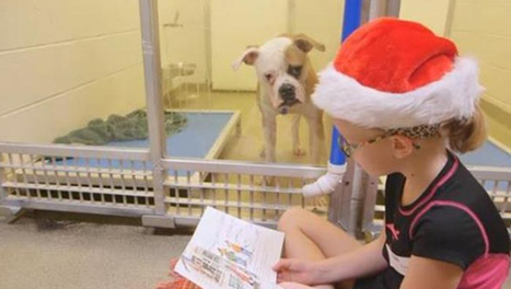 US children are reading to shelter dogs: It's encouraging children to develop empathy with animals | Empathy and Animals | Scoop.it