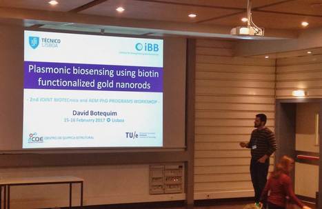 BIOTECnico Student David Botequim Delivers Talk on Plasmonic Biosensing | iBB | Scoop.it