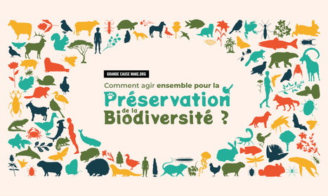 Comment prot&eacute;ger et restaurer ensemble la biodiversit&eacute; ? - Make.org | Biodiversit&eacute; | Scoop.it