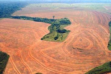 AMAZON RAINFORESTS: Deforestation, Mining rises again in Brazil's Amazon Impacting Ecosystems, Climate, devastating indigenous communities | BIODIVERSITY IS LIFE  – | Scoop.it