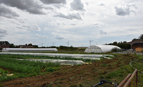 Essonne : Les AMAP : le moyen de consommation de demain ? | Paysage - Agriculture | Scoop.it