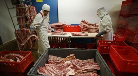 Abattoirs : Mais pourquoi y est-il si difficile de faire respecter les normes d’hygiène ? | La Gazette des abattoirs | Scoop.it