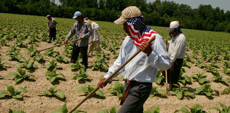 US: Trump’s push for more deportations could boost demand for foreign farmworkers with ‘guest worker’ visas | AMÉRIQUES | Scoop.it