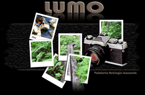 LUMO - Valokuvia Helsingin luonnosta | 1Uutiset - Lukemisen tähden | Scoop.it