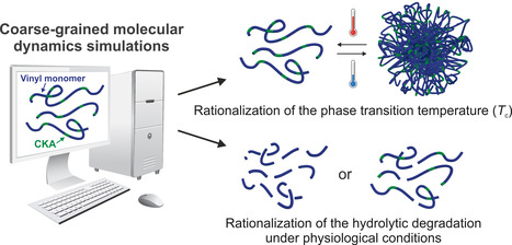 D&eacute;veloppement par mod&eacute;lisation mol&eacute;culaire de polym&egrave;res thermosensibles et biod&eacute;gradables pour l'encapsulation de m&eacute;dicaments | Life Sciences Universit&eacute; Paris-Saclay | Scoop.it