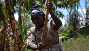 African smallholders 'need tech to spur food security' | Food & Nutrition Security in East Africa | Scoop.it