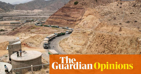 The Guardian view on the global food crisis: no time to lose | Editorial | The Guardian | International Economics: IB Economics | Scoop.it