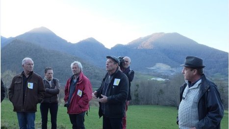 Lannemezan. Pour une exploitation du bois raisonnée | Vallées d'Aure & Louron - Pyrénées | Scoop.it