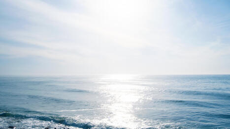 5,000-mile-long marine heat wave set to hit American waters &mdash; here's what it means for this summer - The Cool Down | Operation Deimos | Scoop.it