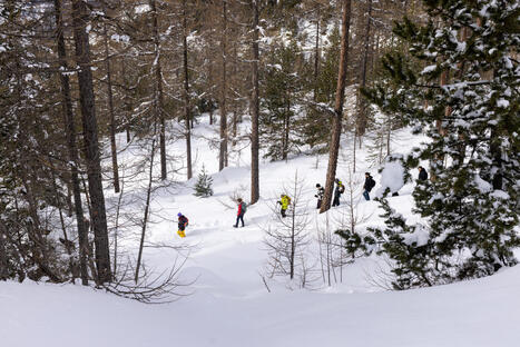 De l&rsquo;art et des sciences&nbsp;: un savant p&ecirc;le-m&ecirc;le - Labex ITTEM | Biodiversit&eacute; | Scoop.it