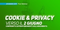 Cookie & Privacy: Verso il 2 giugno | Web Designer Freelance | Scoop.it