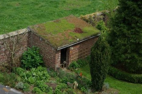 Histoires de toits végétalisés... | HORTICULTURE | Scoop.it