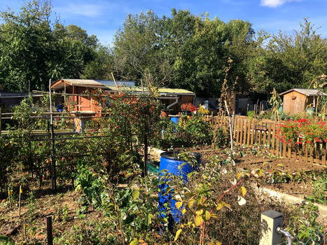 L’agriculture urbaine : solutions et illusions - Métropolitiques | ESPACES VEGETALISES URBAINS | Scoop.it