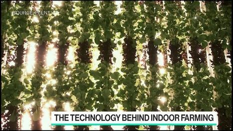 Vertical Farming to Prevent Food Loss in a Disaster | Technology in Business Today | Scoop.it