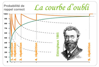 ANALYSE / La consolidation mn&eacute;sique pour apprendre et r&eacute;ussir &agrave; long terme | Innovation et transformation p&eacute;dagogique | Scoop.it