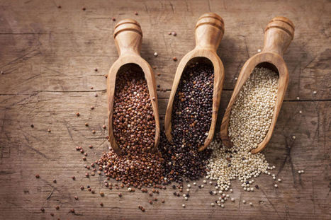 Le quinoa, une prot&eacute;ine v&eacute;g&eacute;tale de choix! | Recettes Index Glyc&eacute;miques Bas | Scoop.it