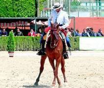 Amador Martín domina en la cita de Córdoba - Diario Córdoba | Caballo, Caballos | Scoop.it