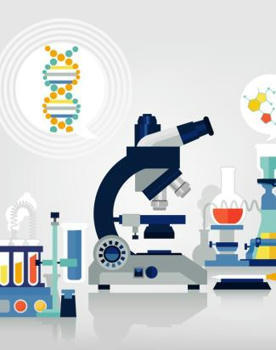 BSI teaching resource hub | British Society for Immunology | Immunology | Scoop.it