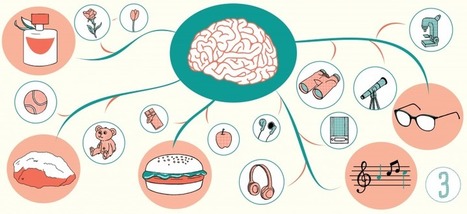 [DOSSIER] Mind Map et Pédagogie #3 : Faire une mind map - Sydologie | Cartes mentales | Scoop.it