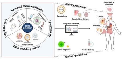 Revolutionizing Drug Delivery: The Impact of Advanced Materials Science and Technology on Precision Medicine | Local delivery for Gene Directed Enzyme Prodrug Therapy | Scoop.it
