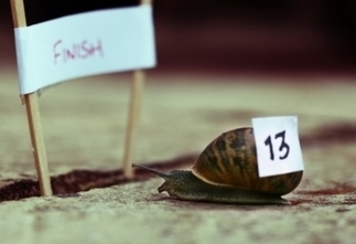 CAMPUS Pamphlet: 'Interventions' by Ian Duhig - CAMPUS | The Irish Literary Times | Scoop.it