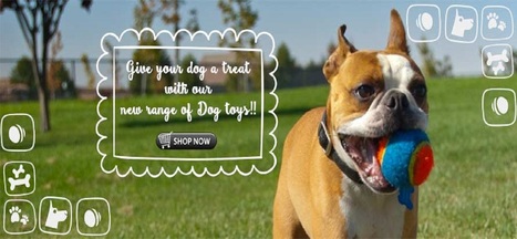 best online pet supply store