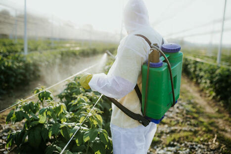 Selon une étude, le risque de cancer causé par les pesticides peut être comparable à celui du tabagisme | RSE et Développement Durable | Scoop.it
