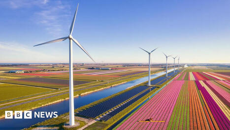 Netherlands' renewables drive putting pressure on its power grid | Microeconomics: IB Economics | Scoop.it