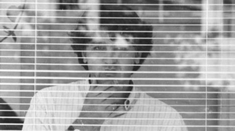 Dodgy 'doc' and convicted fraudster David Kaye poses a public health and safety risk | Avoid Internet Scams and ripoffs | Scoop.it