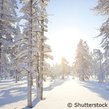 Commission europ&eacute;enne : CORDIS : Actualit&eacute;s : Les Finlandais &eacute;tudient comment le changement climatique affecte la nature | Plan&egrave;te, Nature et Biodiversit&eacute; | Scoop.it