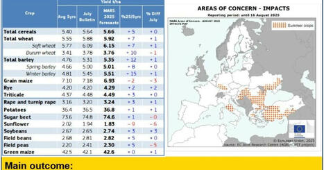 Summer crops severely affected in the south and east - European Commission | MED-Amin network | Scoop.it